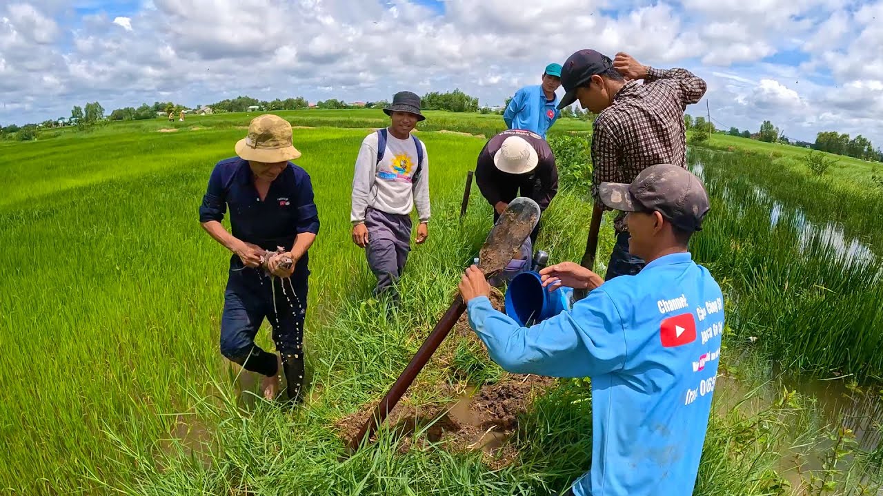 Cùng nhau đi bắt chuột lông xù về chiên giòn thưởng thức với mấy anh em 2 nhóm | TGSB 
