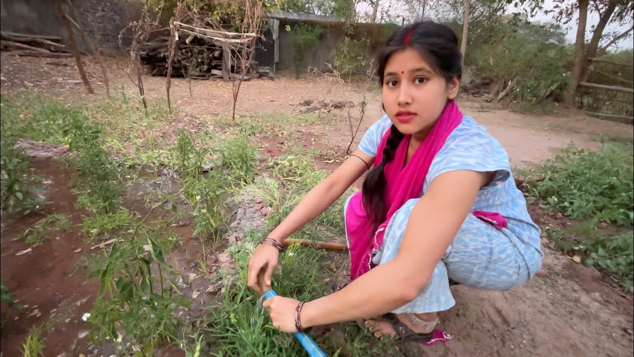 आज संध्या जी बनगे किसान 😍