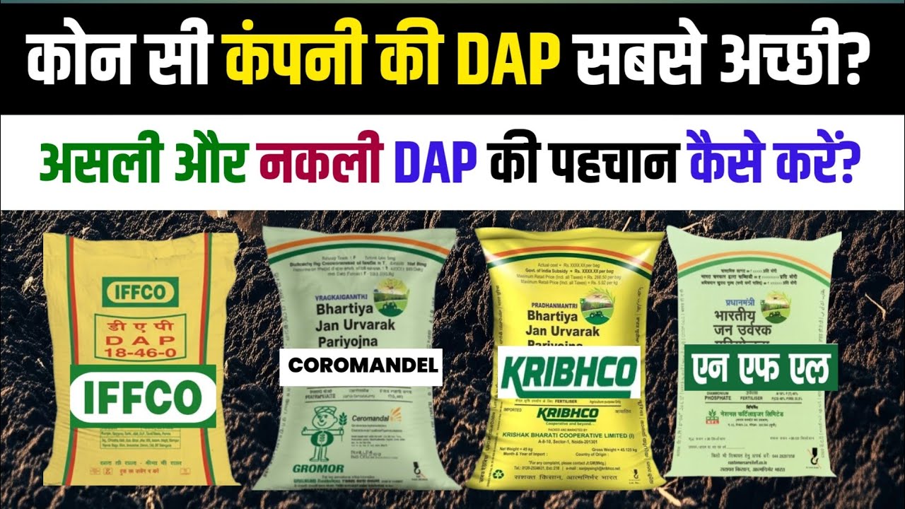 कौन सी कंपनी की DAP सबसे अच्छी है? काली या सफेद DAP कोन सी अच्छी | DAP की असली पहचान