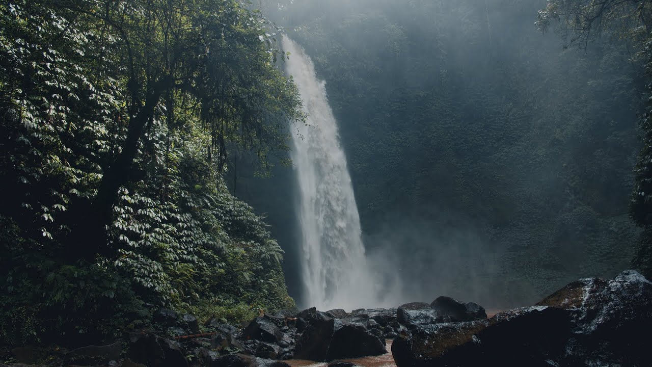 The Philippines x Bali | Tropics