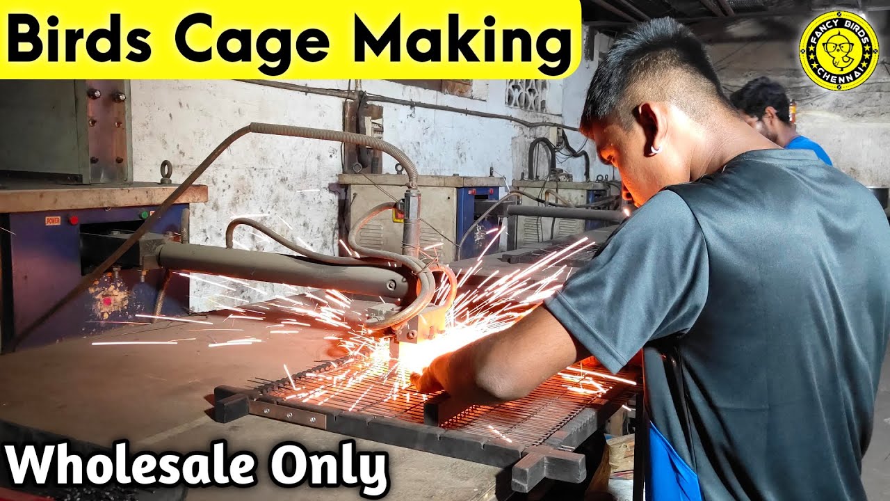 Birds Cage Making Chennai | Wholesale Only | All Types Birds Breeding Cages Delivery Available