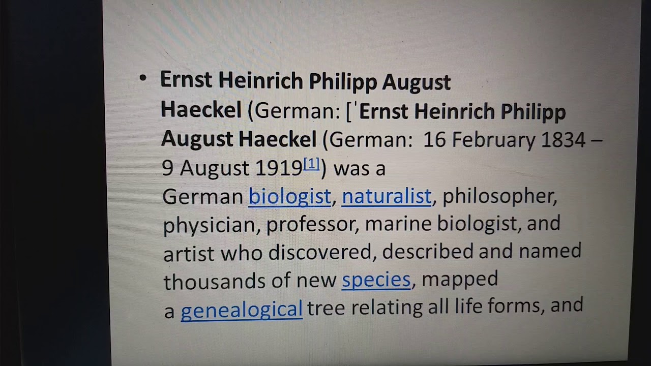Ernst Haeckel,  who coined the term Phylum