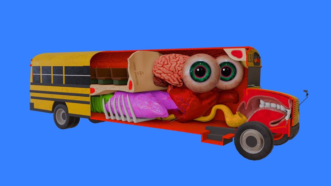 How a School Bus works