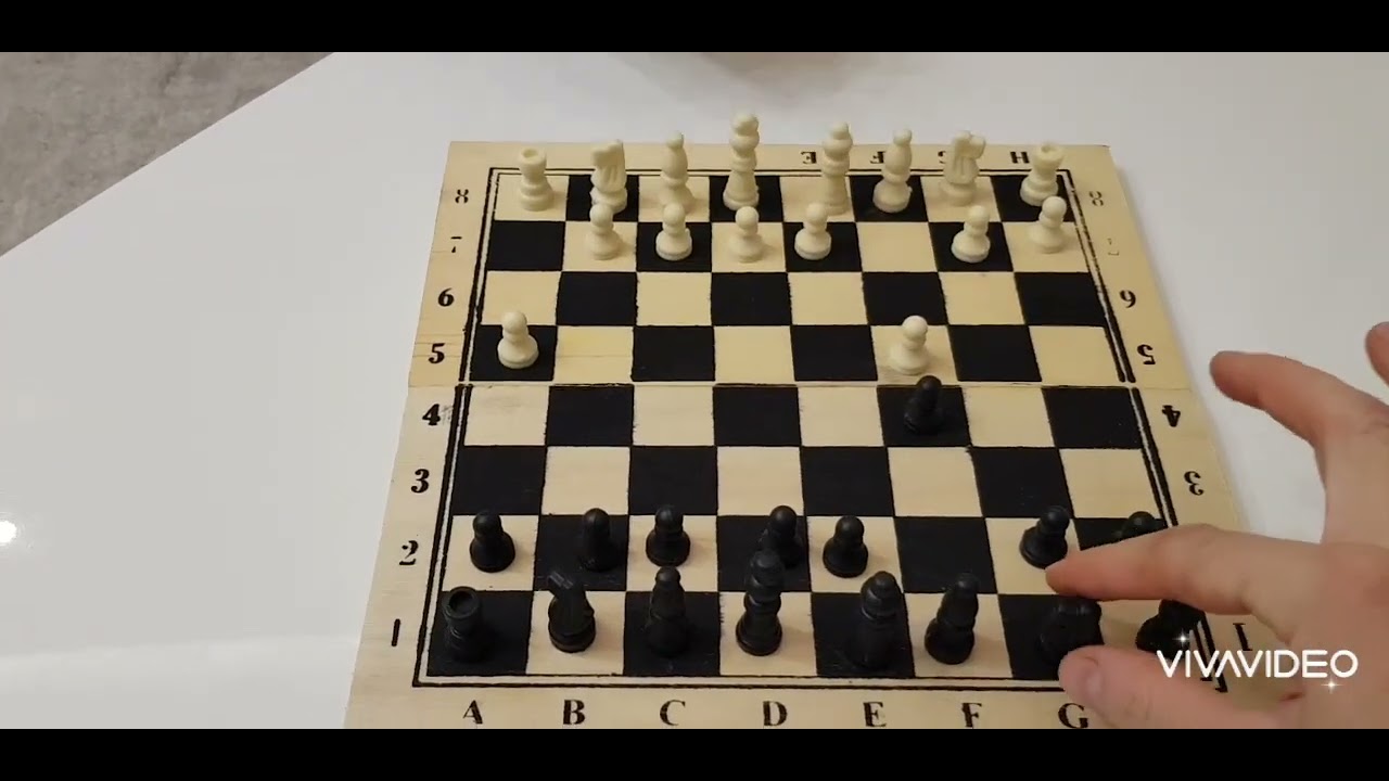 Si të luajmë shah. How to play chess game. shqip.