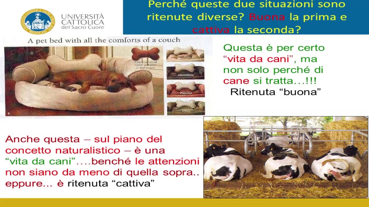 Etica degli allevamenti animali - Giuseppe Bertoni