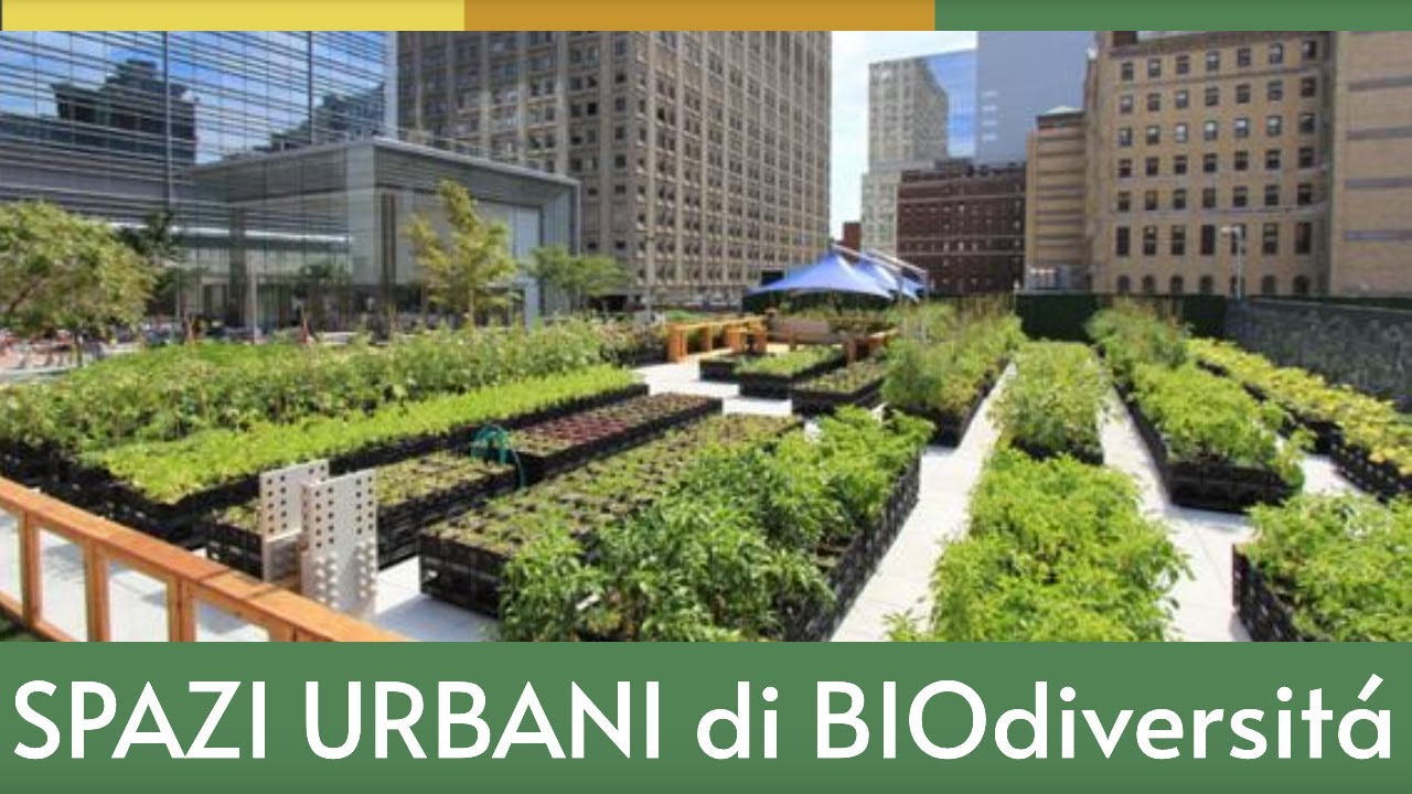 VideoNOTIZIARIO 01 #33  -  SPAZI URBANI di BIOdiversità