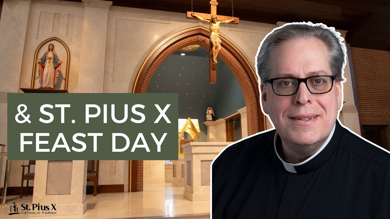 Overcoming Division  | 21st Sunday in Ordinary Time ~ Catholic Homily