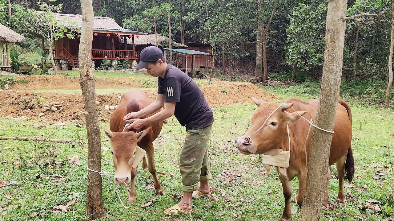 How to make a cow bell from a log. The way the ancients did it | Nông Văn Bình