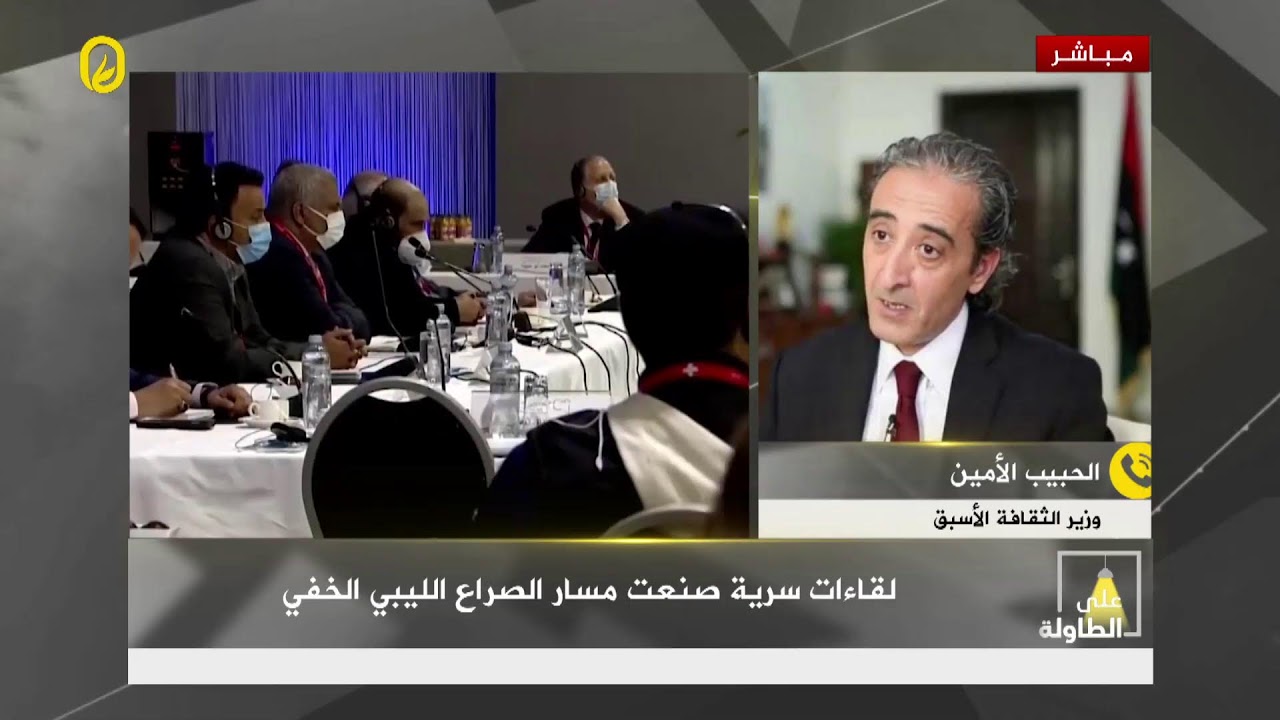 ستيفاني وليامز.. من أروقة الغرف المظلمة إلى كواليس فشل انتخابات ليبيا