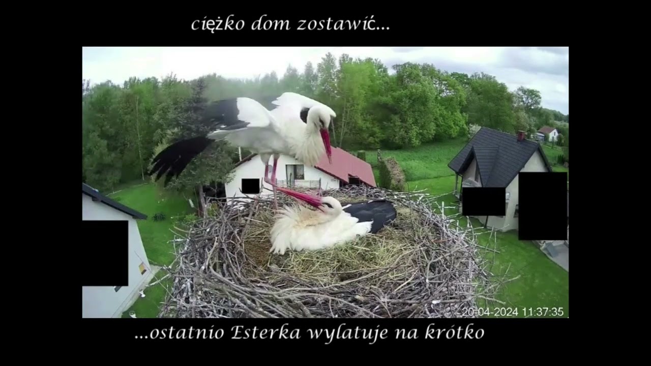 Esterka, Kazio i sześć skarbów, czyli dzień jak każdy... [20.04.24]