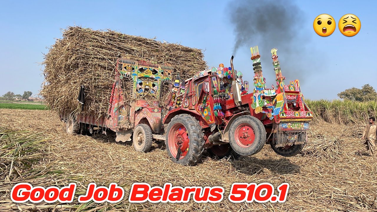 Well Done Belarus 510.1 Pull Sugarcane Trolley Out Of The Field