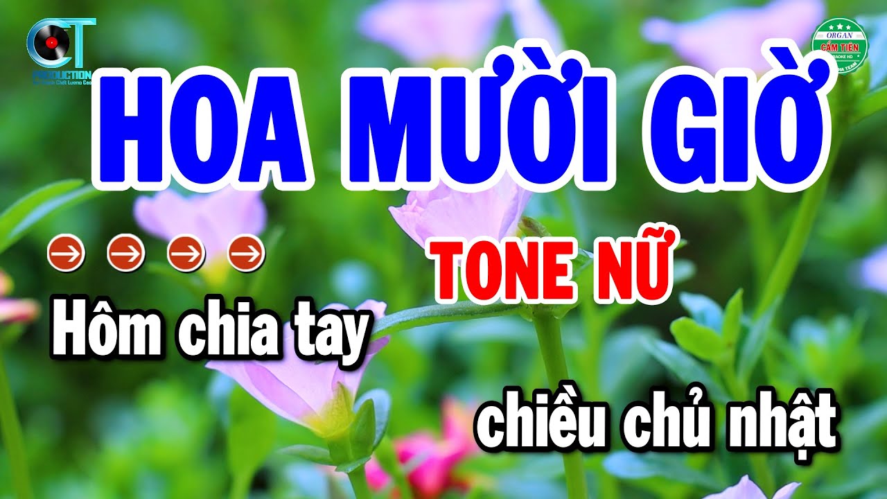 Karaoke Hoa Mười Giờ Tone Nữ Nhạc Sống Beat Chuẩn 2025 | Cẩm Tiên Organ