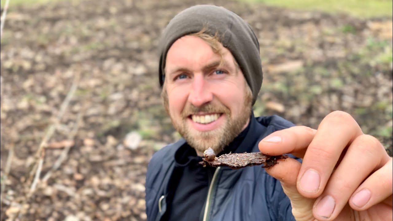 VEJEN TIL ET SNEGLEFRIT DRIVHUS (baseret p&aring; egne erfaringer)