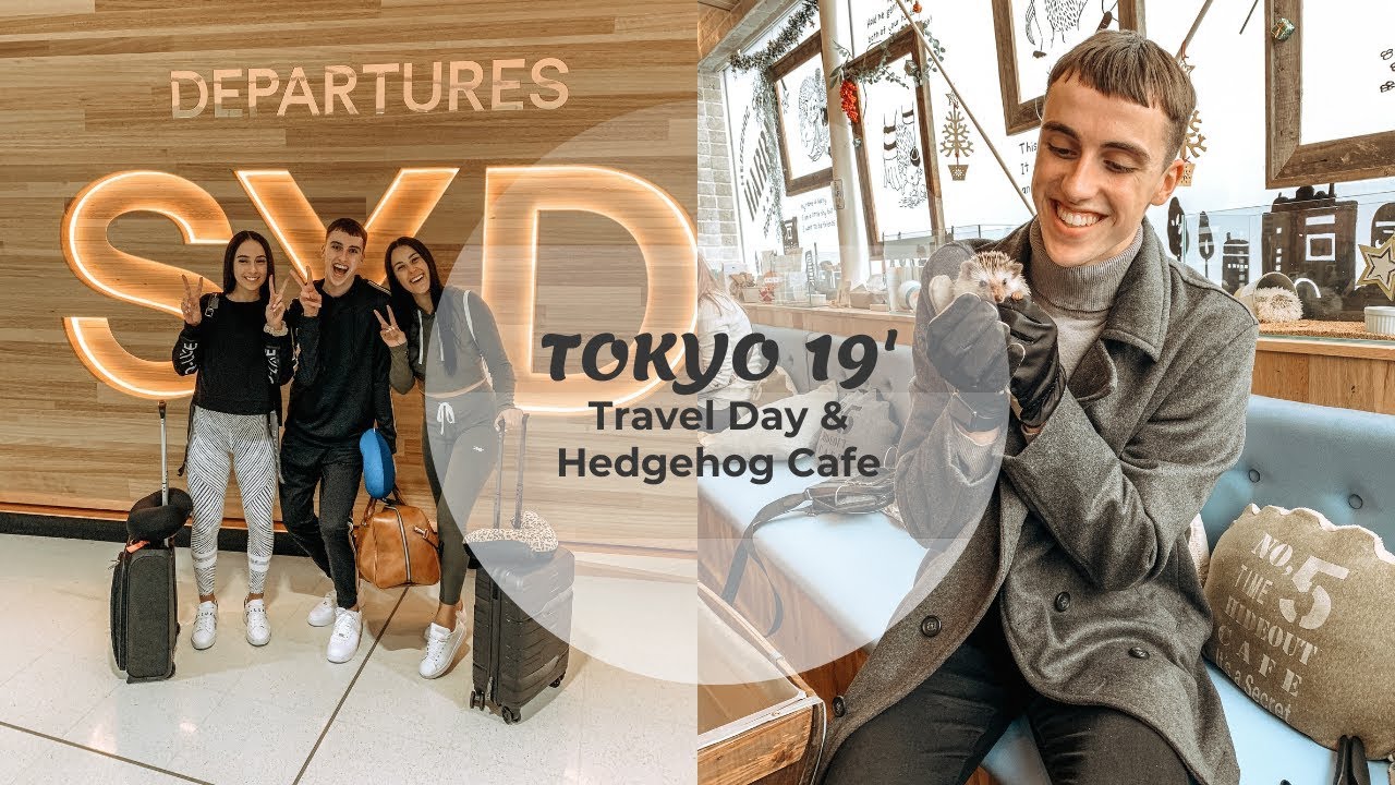Tokyo Vlog: Travel Day, Roppongi & Hedgehog Cafe - December 2019