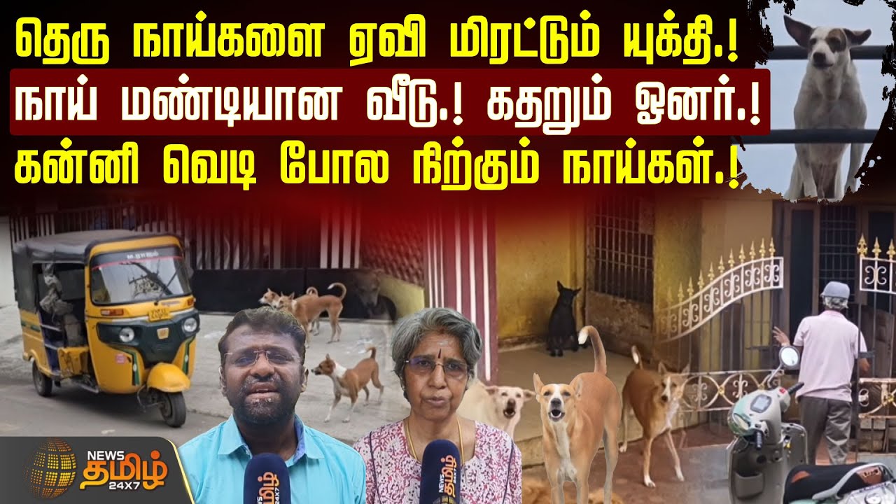 தெரு நாய்களை ஏவி மிரட்டும் யுக்தி.! - நாய் மண்டியான வீடு.! கதறும் ஓனர்.!