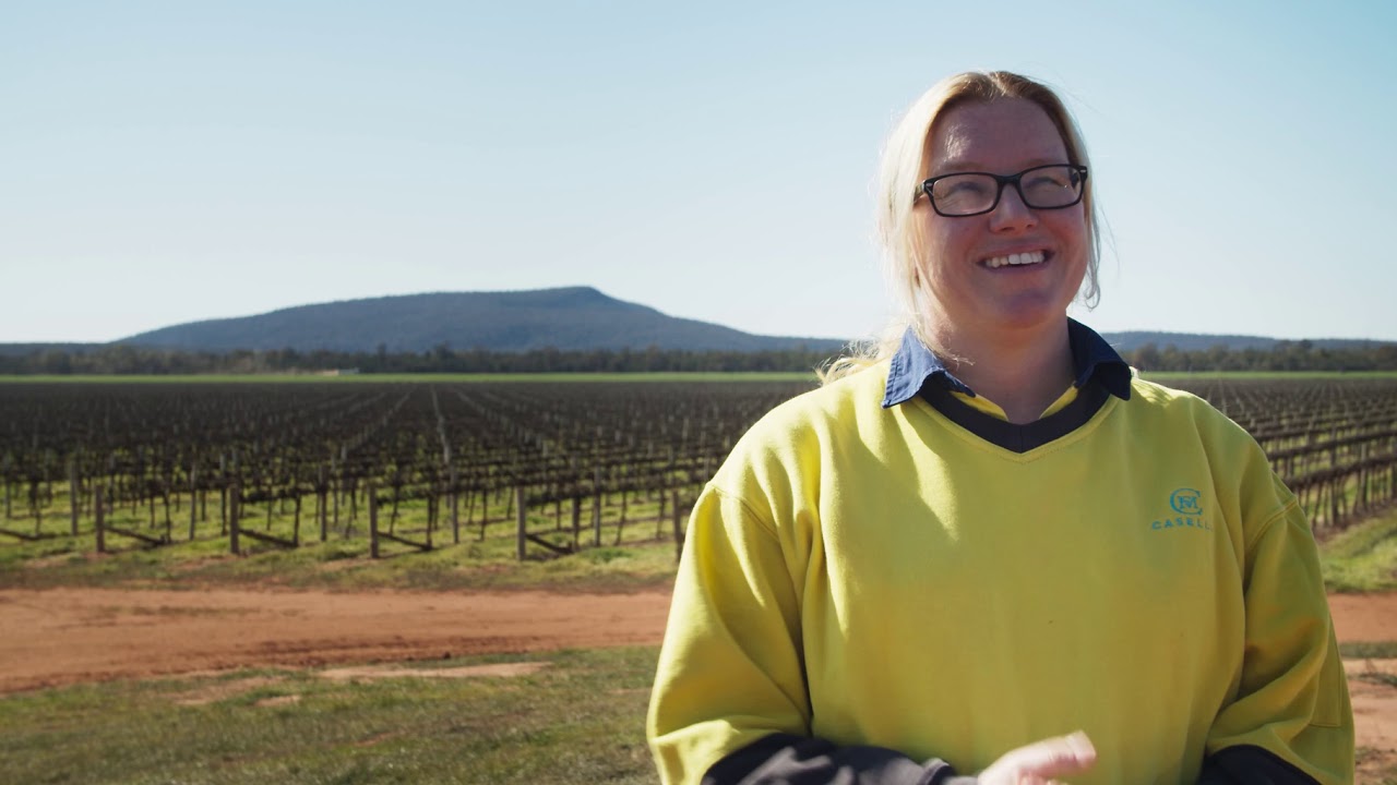 Vineyard Management Made Simple!