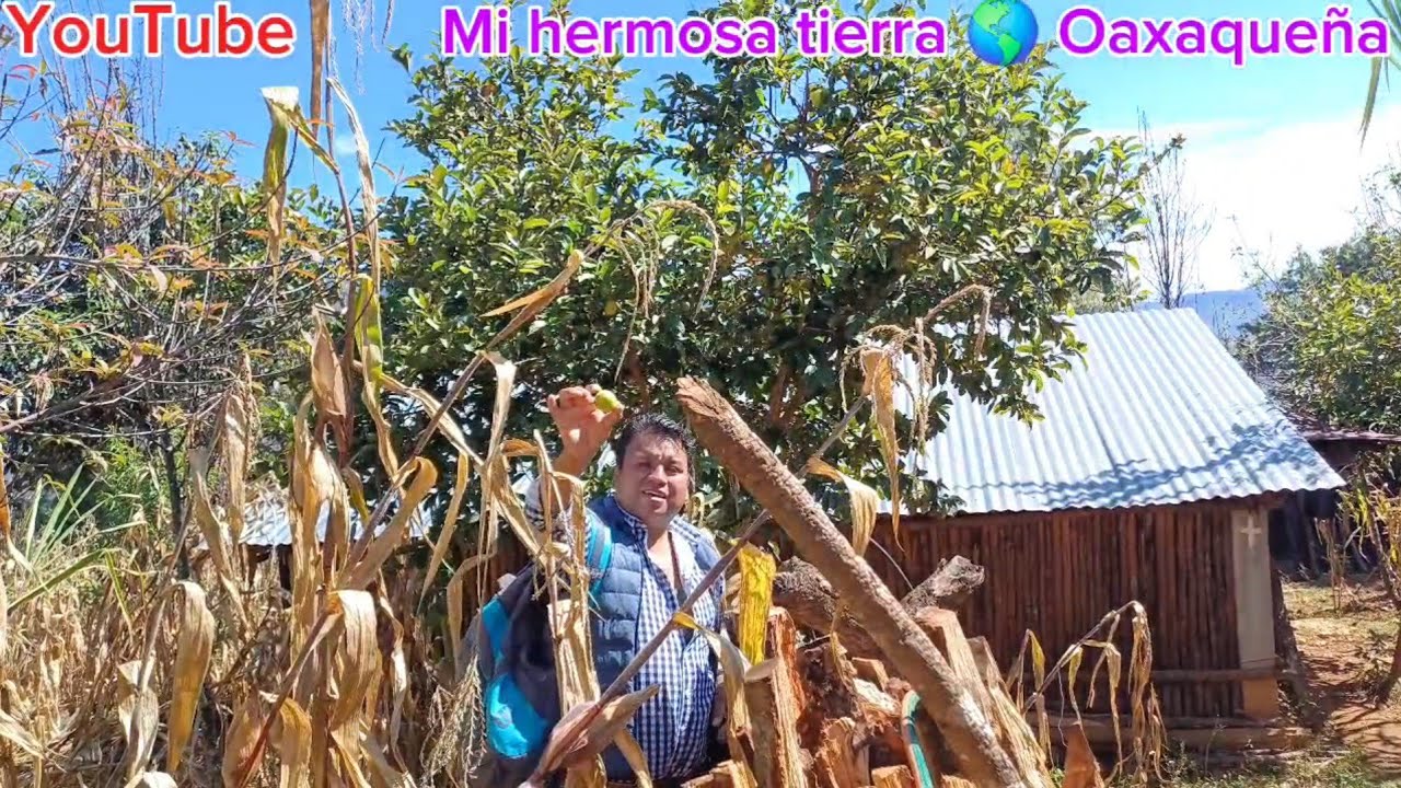 Así vive mi compadre en este rancho solitario con sus animalitos 🐓 🐓 