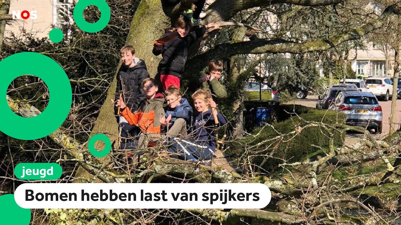 Kinderen zijn boos, gemeente haalt hun boomhutten weg