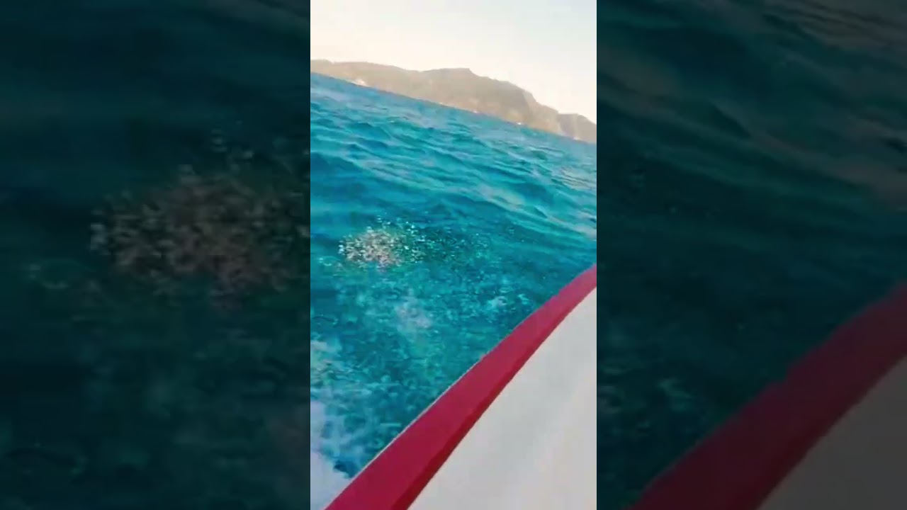 sea ​​enjoyment🌊#travel #nature #great #fast #ocean #oceanwaves #oceansounds #boat #boating