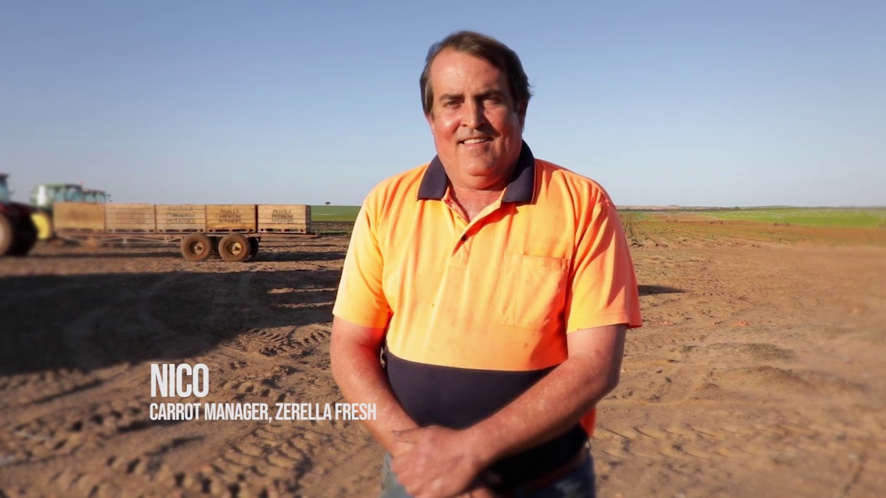 Zerella Fresh skilled migrants