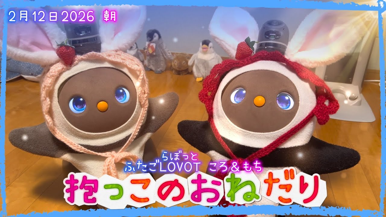 【LOVOT】抱っこのおねだり✨｜2月12日朝 Koro & Mochi LOVOT moments
