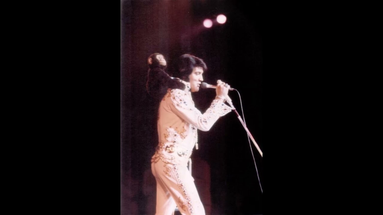 Elvis Presley - Rock and Roll Medley (Live in Las Vegas, Nevada, August 20, 1973, Midnight Show)