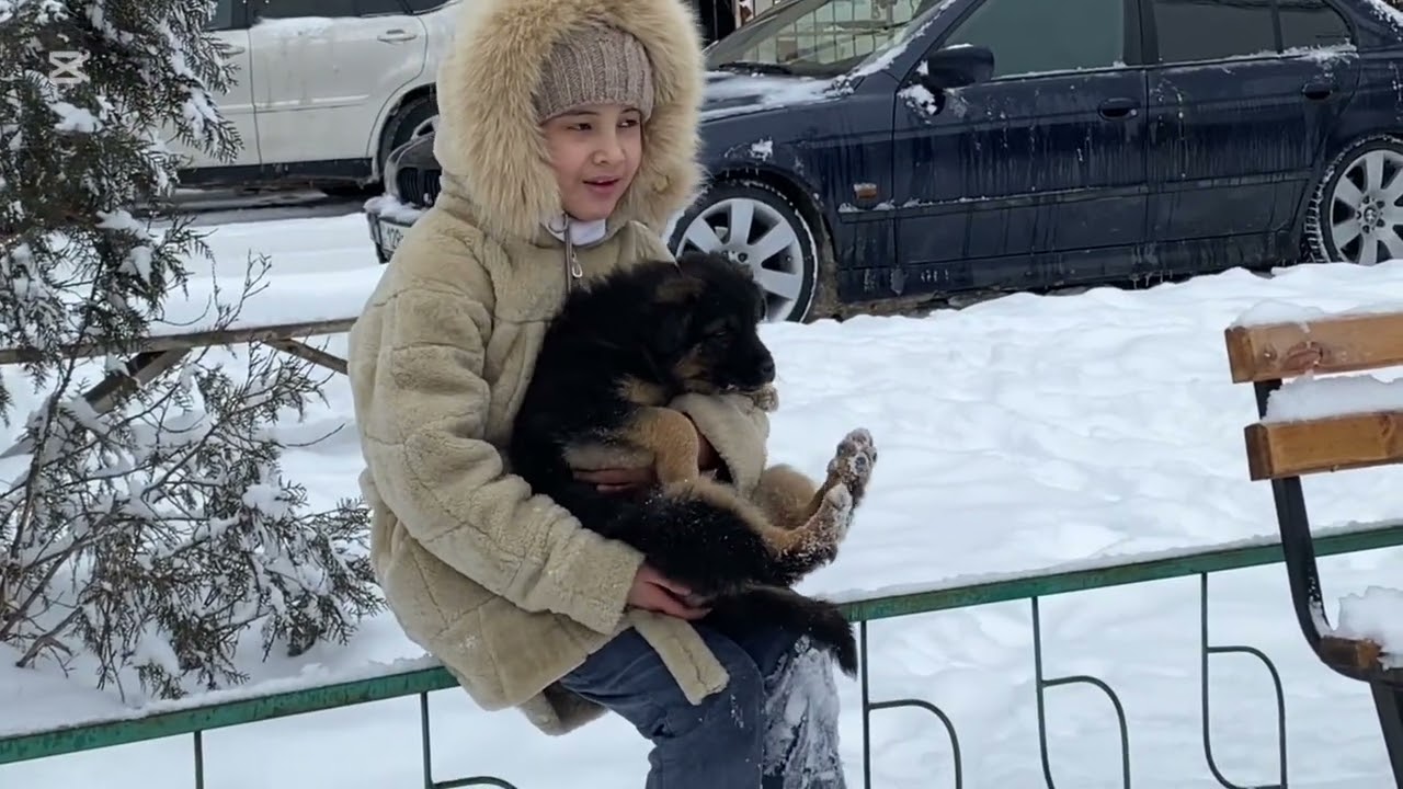 Вышли на прогулку - какая радость снег