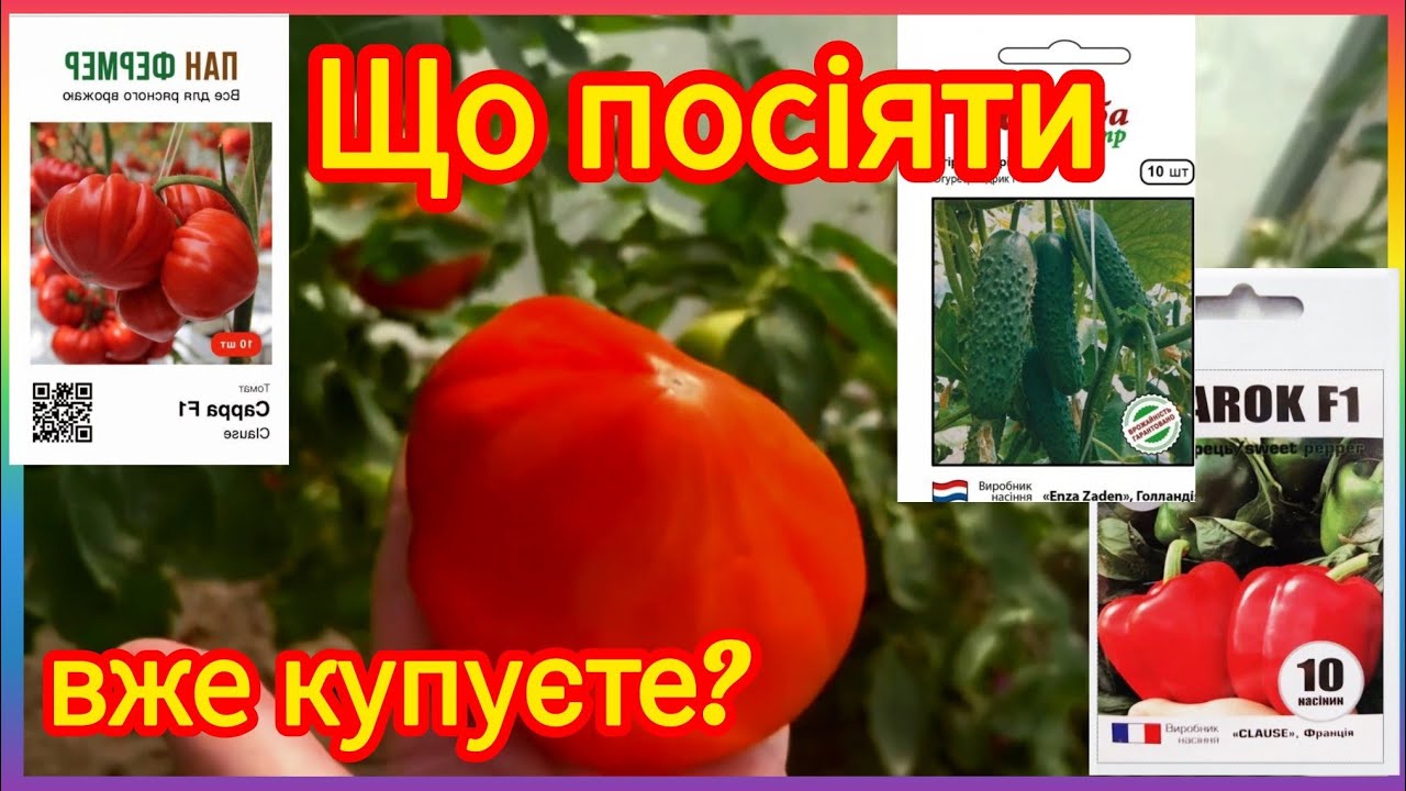 Помидоры, перцы, арбузы..- мы уже покупаем🤭‼️что посеять следующего 2026⁉️#овощи #томаты #перец