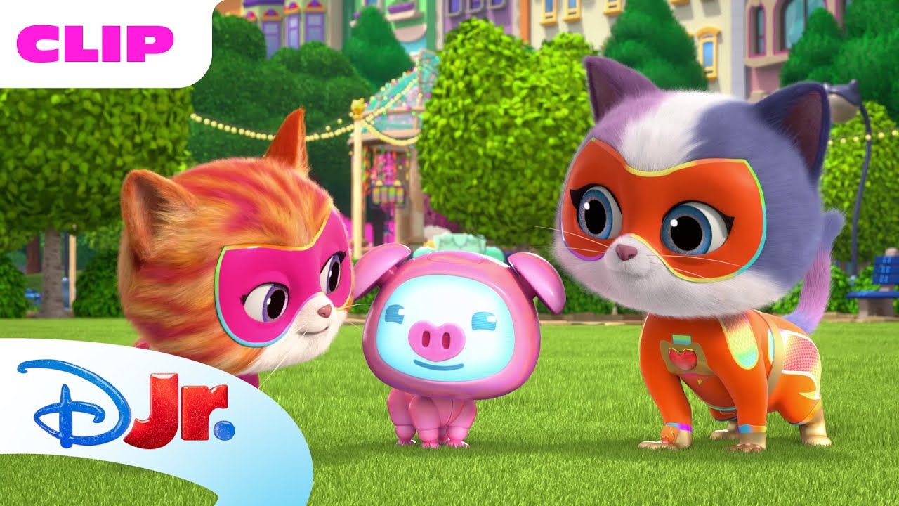 Zsa-Zsa and Wiggles | SuperKitties ⭐ | Disney Jr. MENA