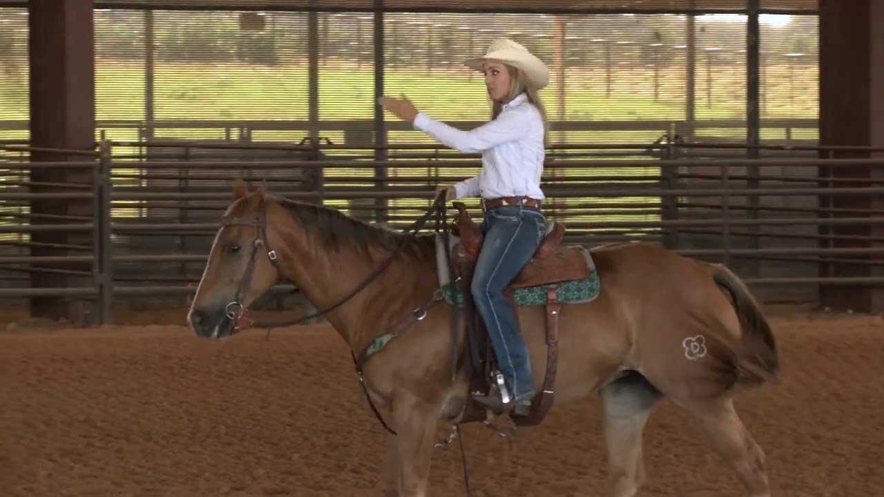 Danyelle Campbell Horse Body Positioning