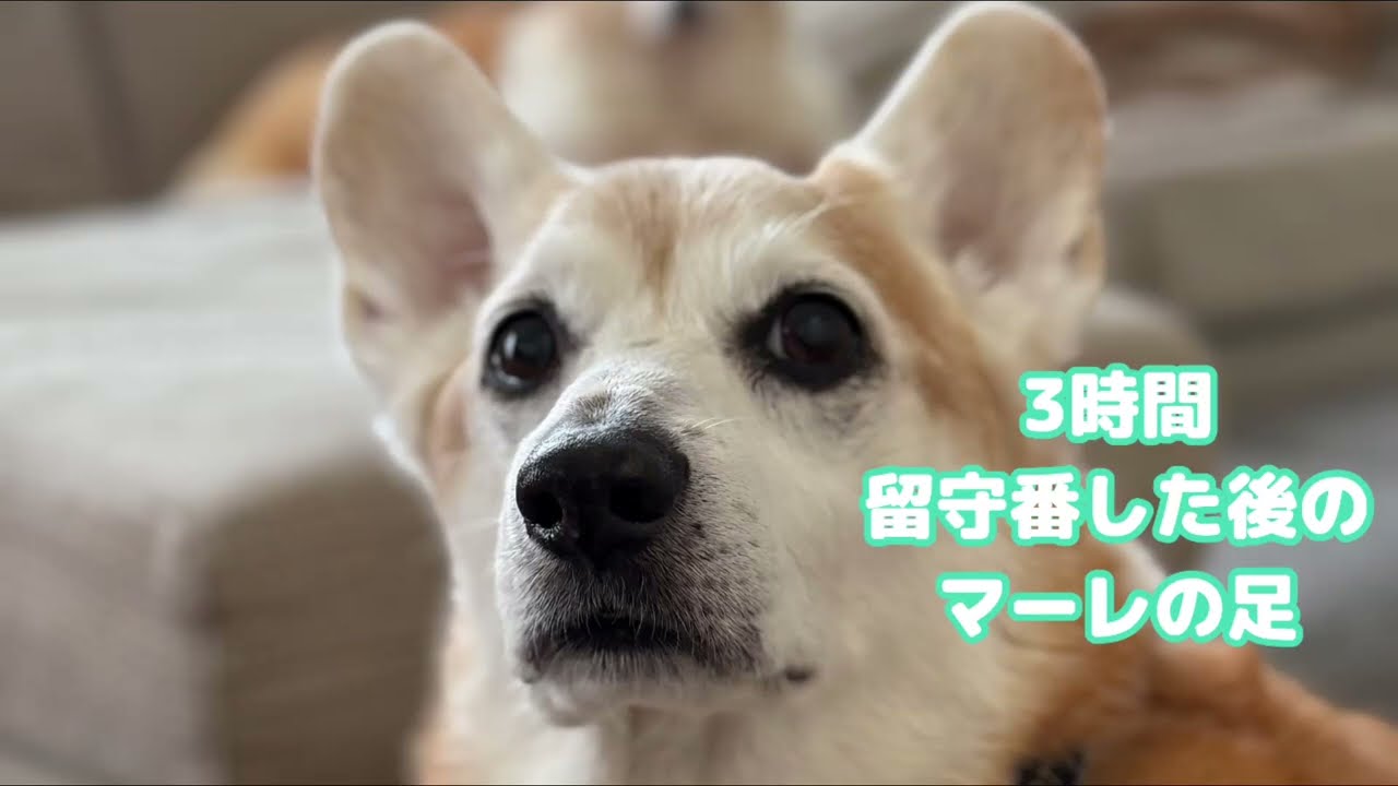 長く寝たあとの動き出し