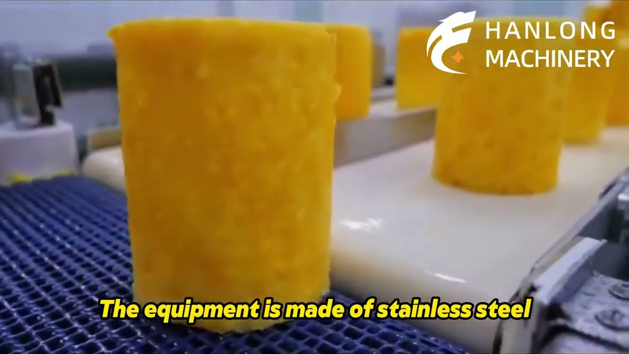 Mango washing production line