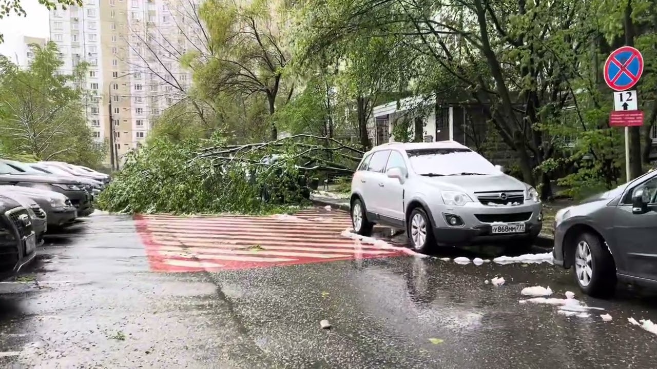 А какой был май?! Последствия сильного ветра и снегопада в ночь 1 мая