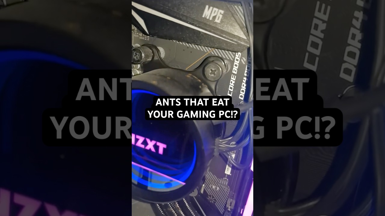 Ants that eat gaming PCs?!