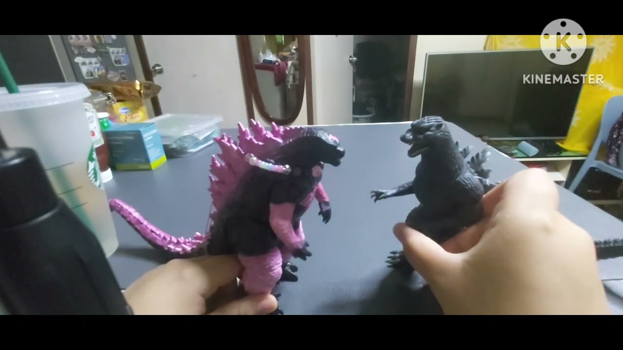 A Haul of what I got at a Convention yesterday and Meeting my 6th Grandpa (Final Wars Goji)