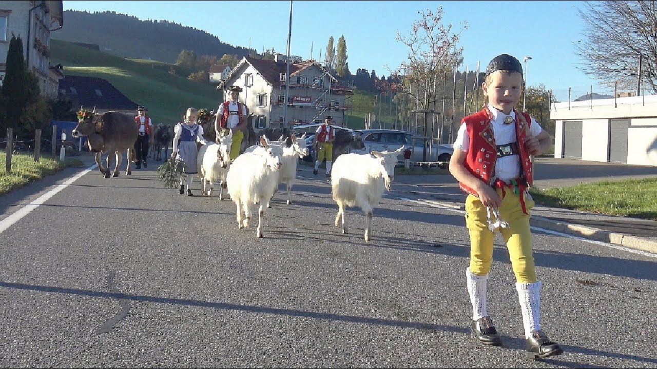 Viehschau Hundwil  14.10.2017
