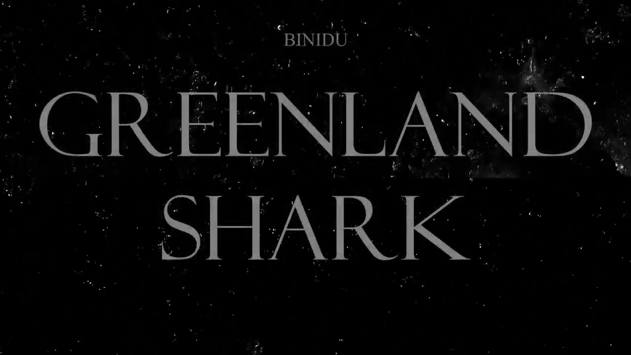 Binidu - Greenland Shark