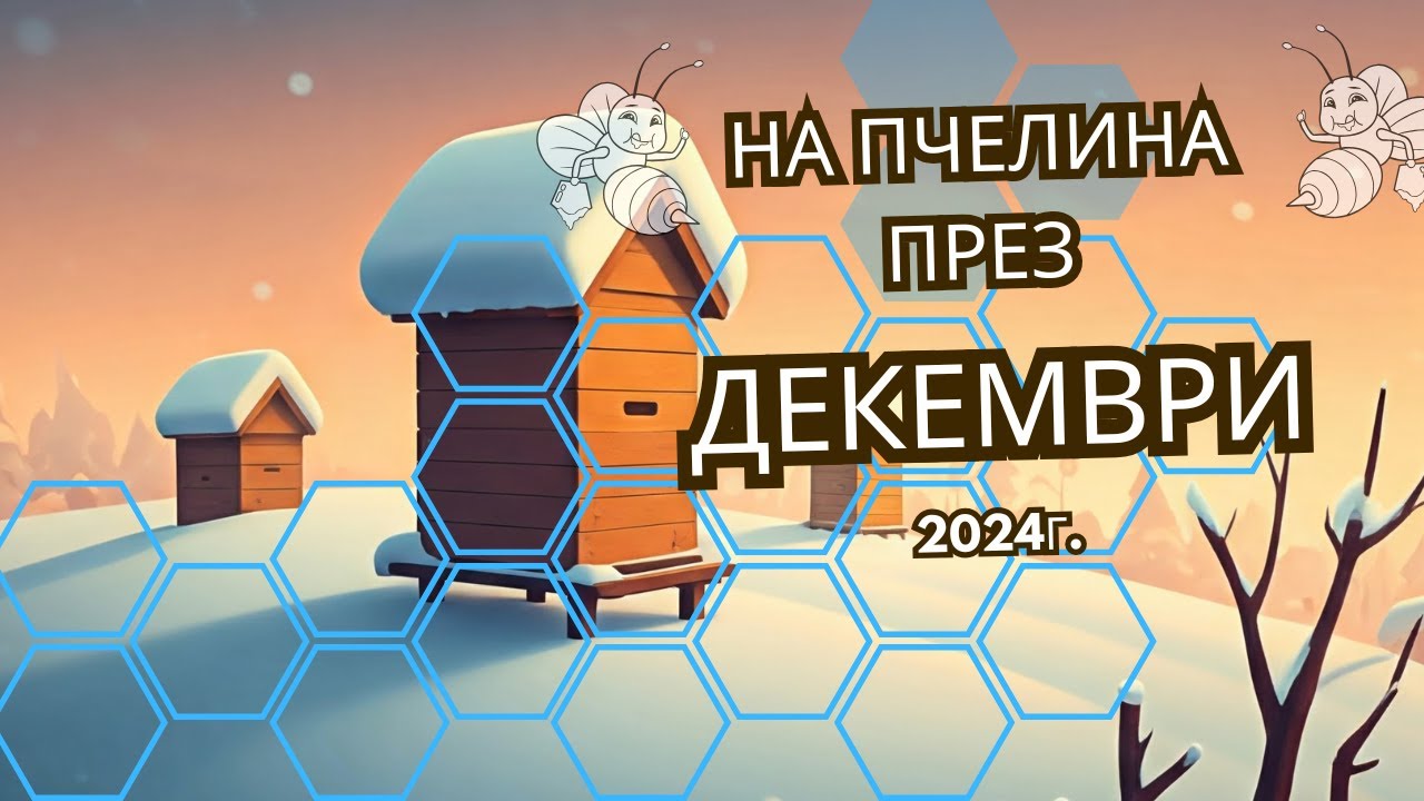 Най - важното за пчелите през Декември