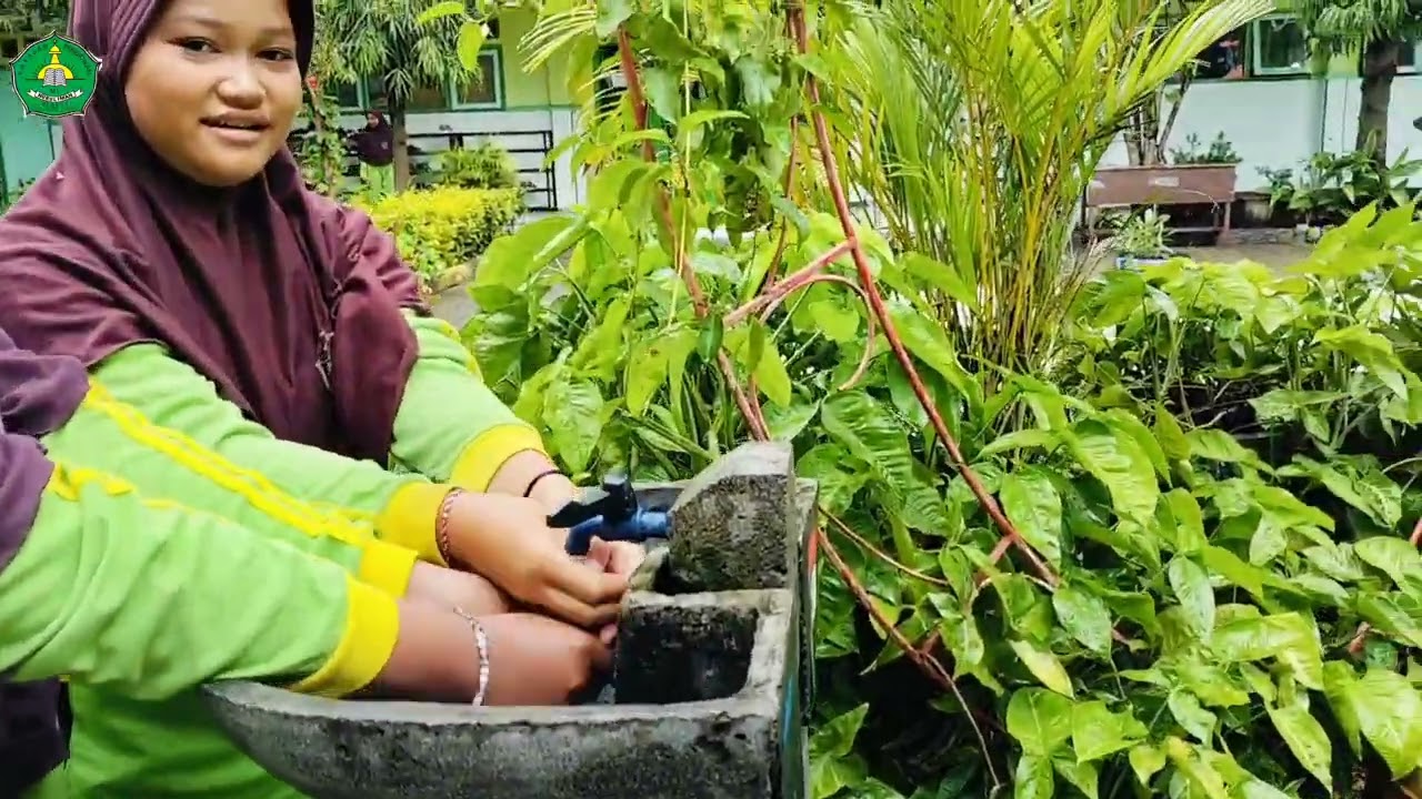 Profil MIS Nurul Iman Dempok ,Grogol, Diwek , Jombang