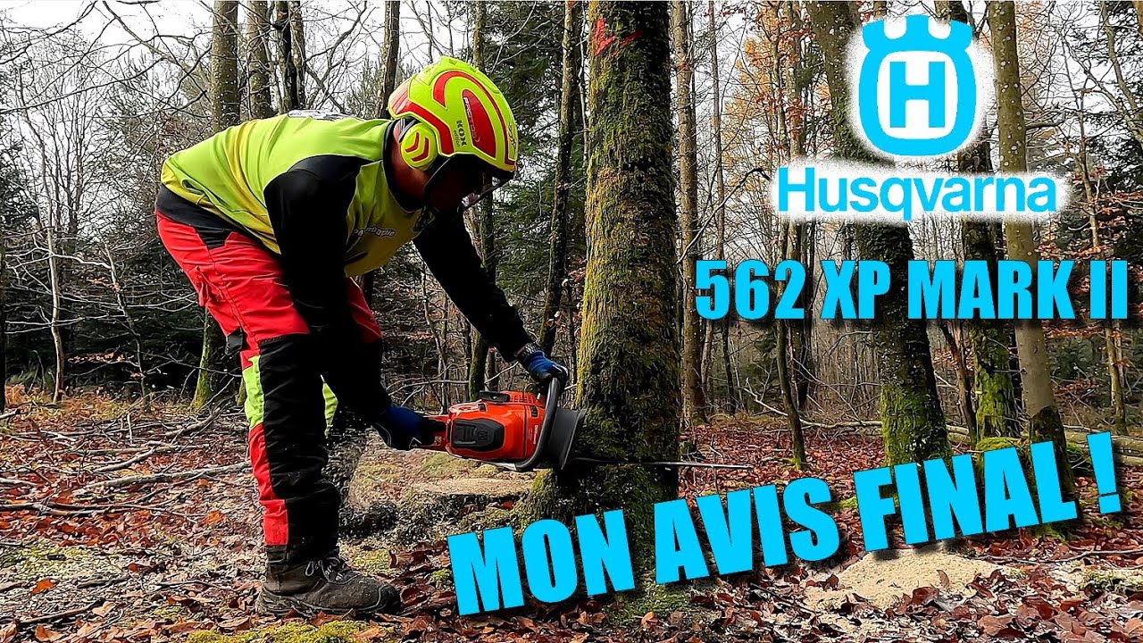 [EN MODE BUCHERON] ABATAGE, ÉBRANCHAGE, BILLONNAGE avec la Husqvarna 562 XP MARK II 🌳🪓🪵🪚🌲
