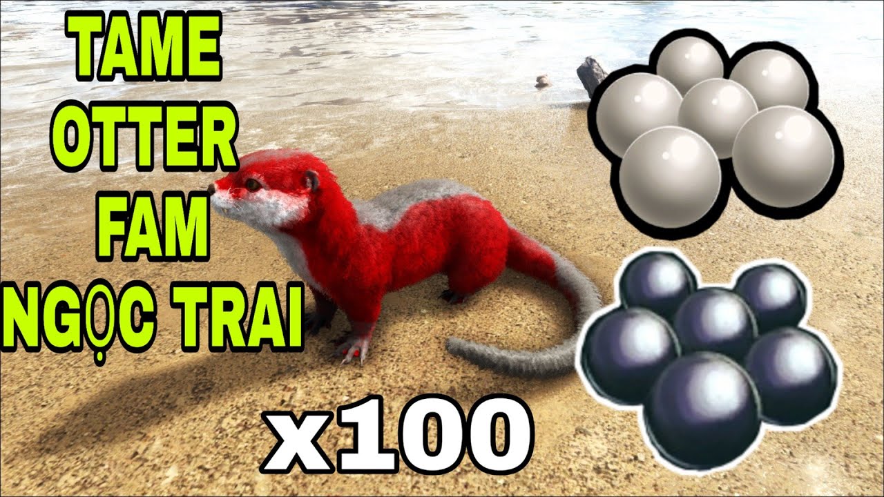 [ARK survival Mobile] TAME OTTER (rái cá) FAM NGỌC TRAI RẤT TỐT full HD