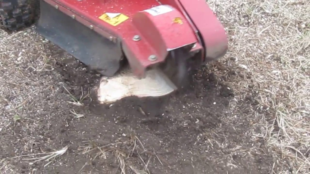 Toro Stump Grinder