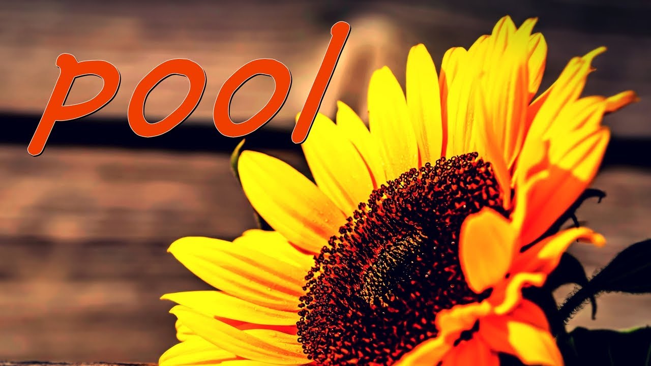 pool 槇原敬之 歌詞付