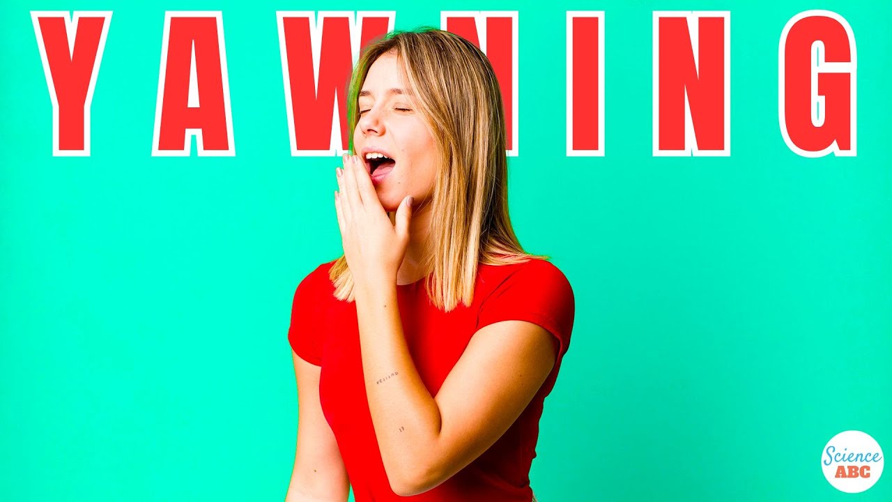 Why Can&rsquo;t You Always &lsquo;Complete&rsquo; Yawns?