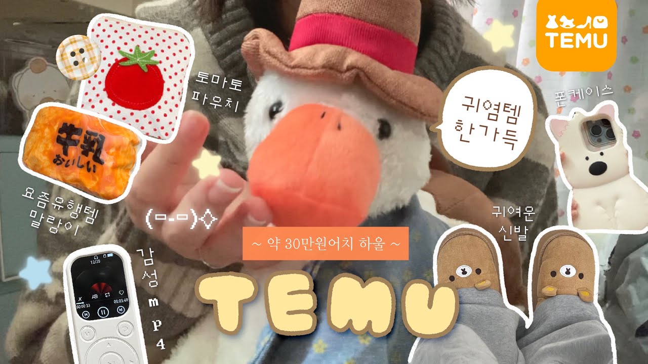 [HAUL] 30만원어치 테무깡📦 역대급으로 맘에 드는 소비🧸 귀여운 제품 한가득•••.ᐟ 같이 뜯어 보아요˚₊✩‧₊ | 하이보미