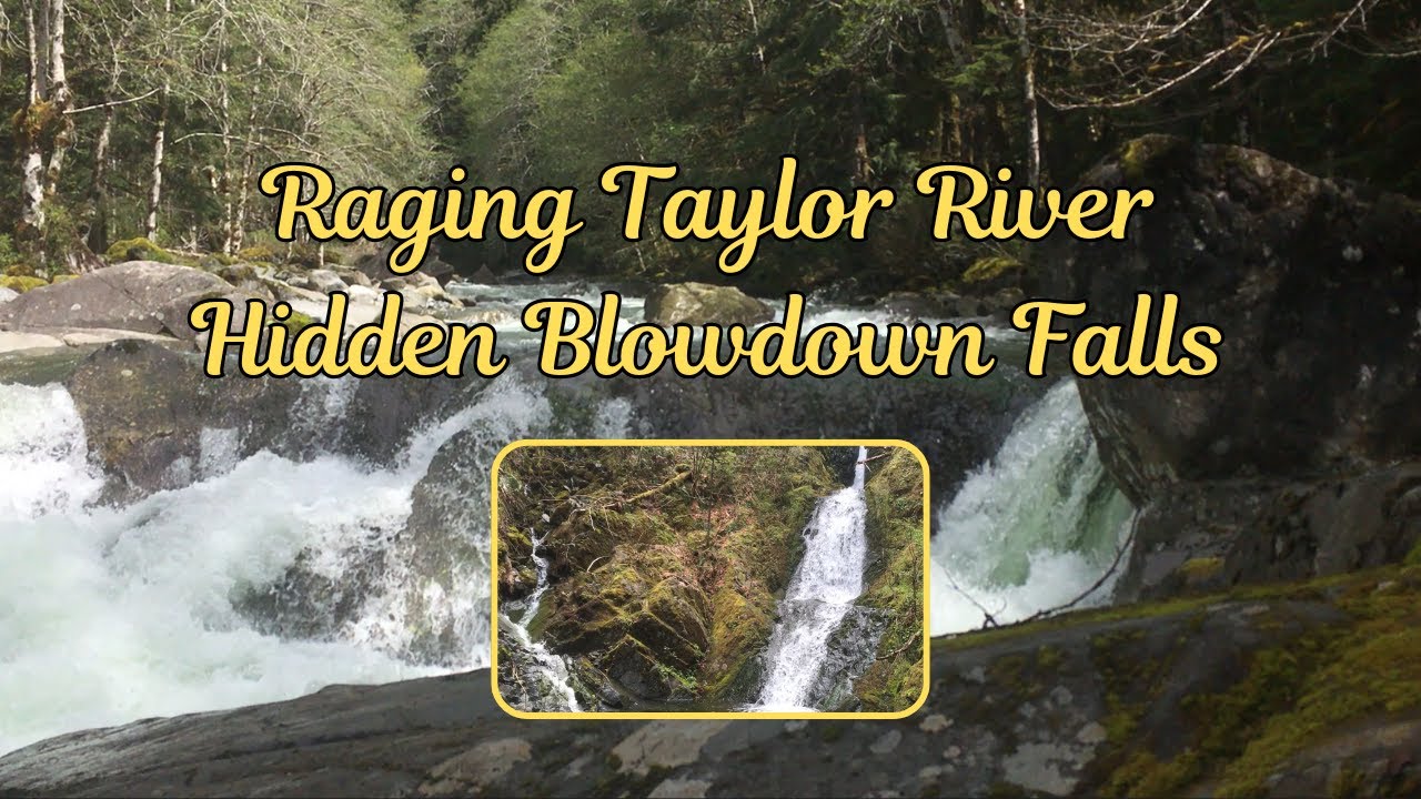 Hidden BLOWDOWN Falls Raging TAYLOR RIVER Cascades - Rugged Trial - Miniature Falls - North Bend, WA
