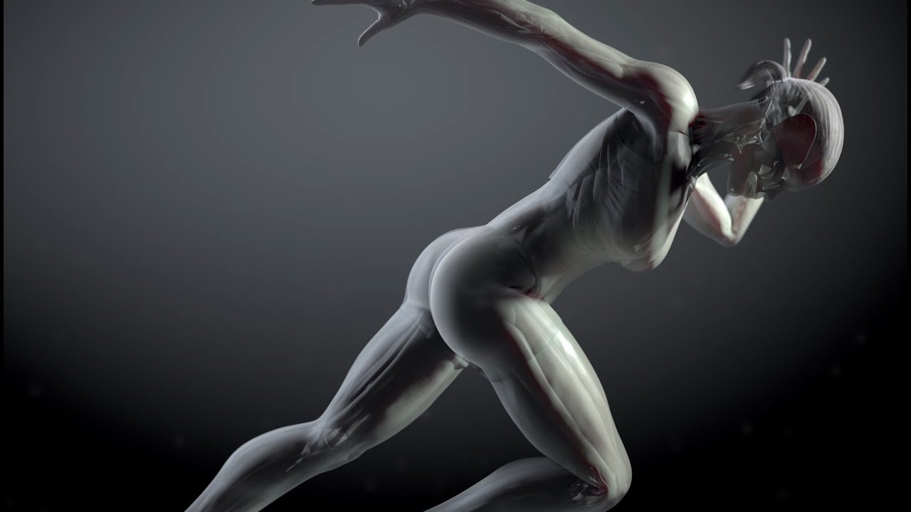 Virtual humans to map the future of major surgery