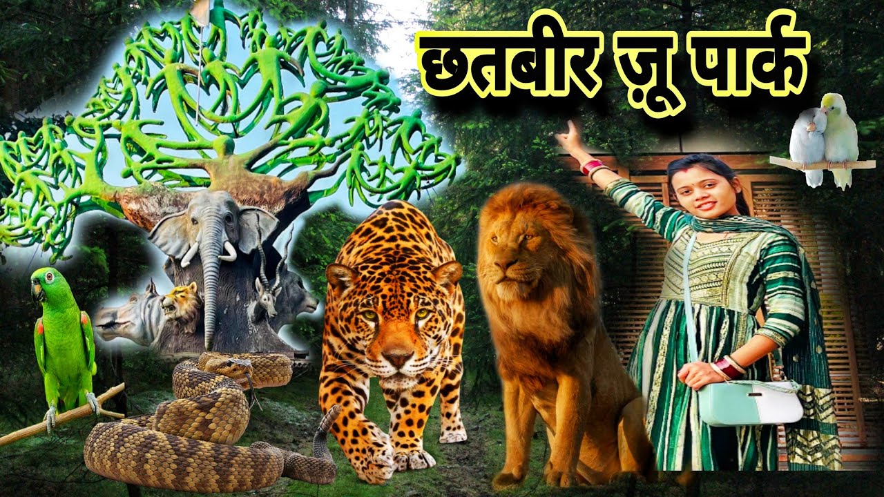 || जिरख्पुर छतबीर ज़ू पार्क ||🐯🐼🐒🤗 || आज हमन घूमे बर गे रेहे हन ||🐣🥰 #zoopark #chhatbirzoo #cgvlog