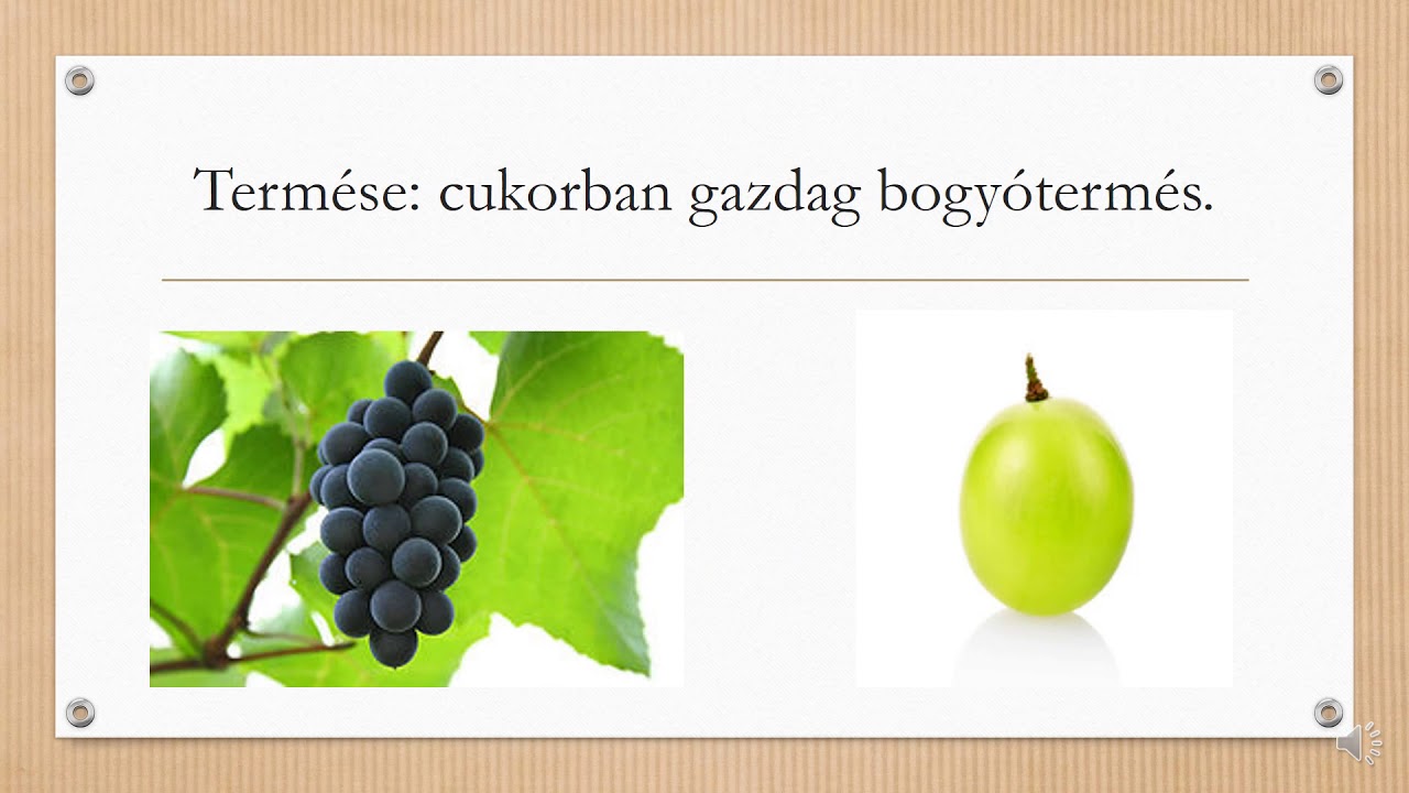 A szőlő és a diófa