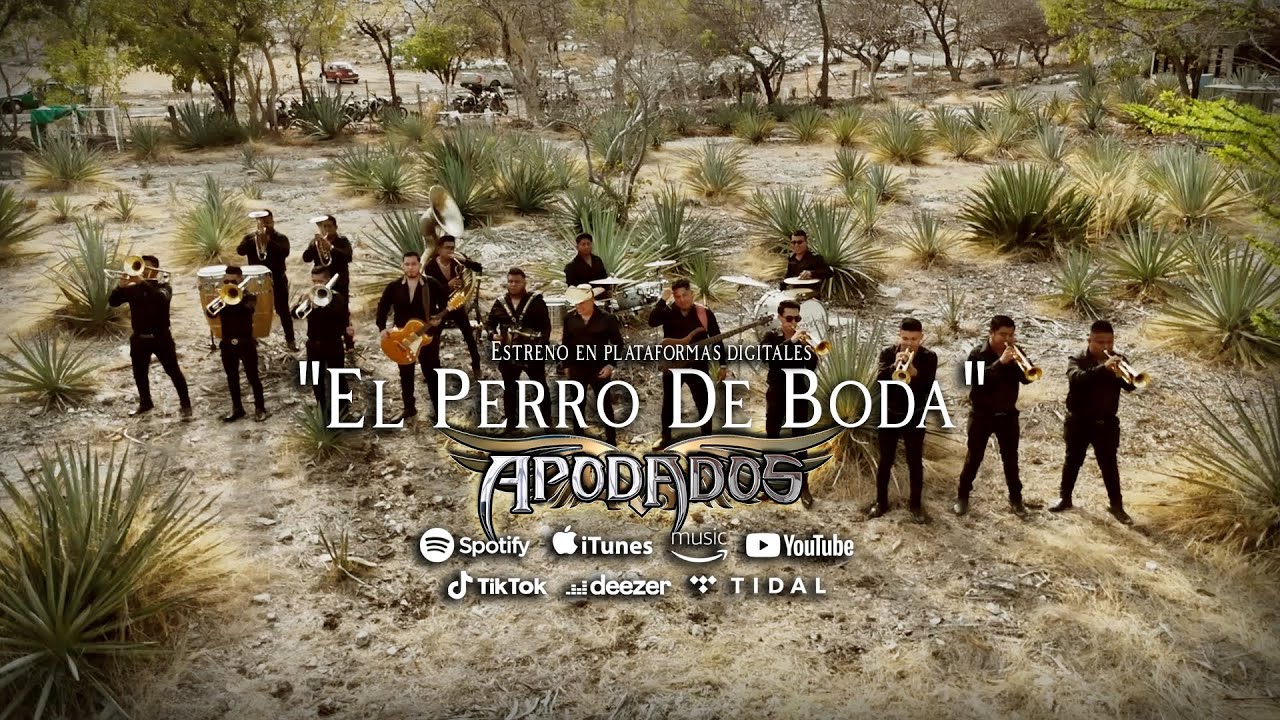 Los Apodados - El Perro de Boda (Video Oficial)
